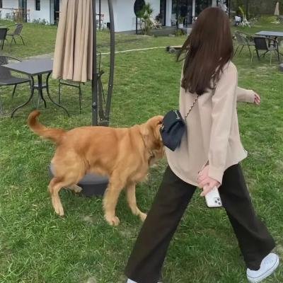 来自过去的女孩